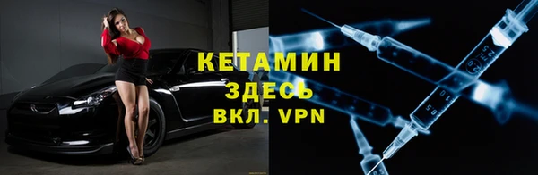 стаф Аркадак