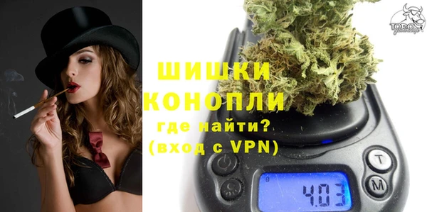 стаф Аркадак