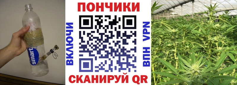 Шишки марихуана VHQ  Новодвинск 